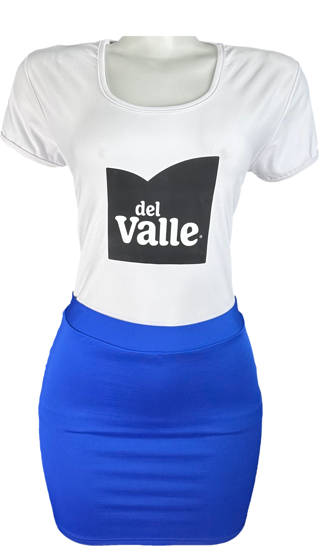 Conjunto saia